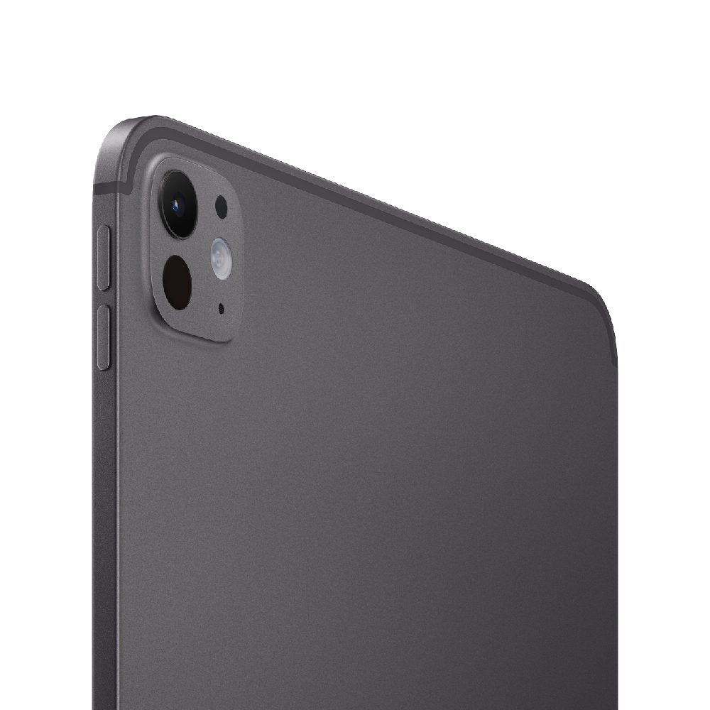 iPad Pro M4 (11", WIFI + Cellular) - Gris Espacial