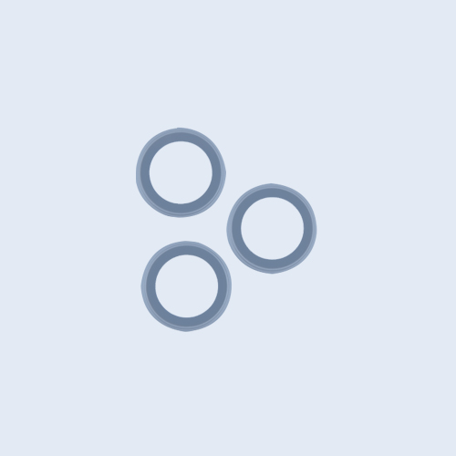 Cristal Cámara Trasera iPhone