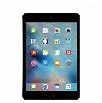 iPad Mini 4 (7.9", WIFI)                                                       